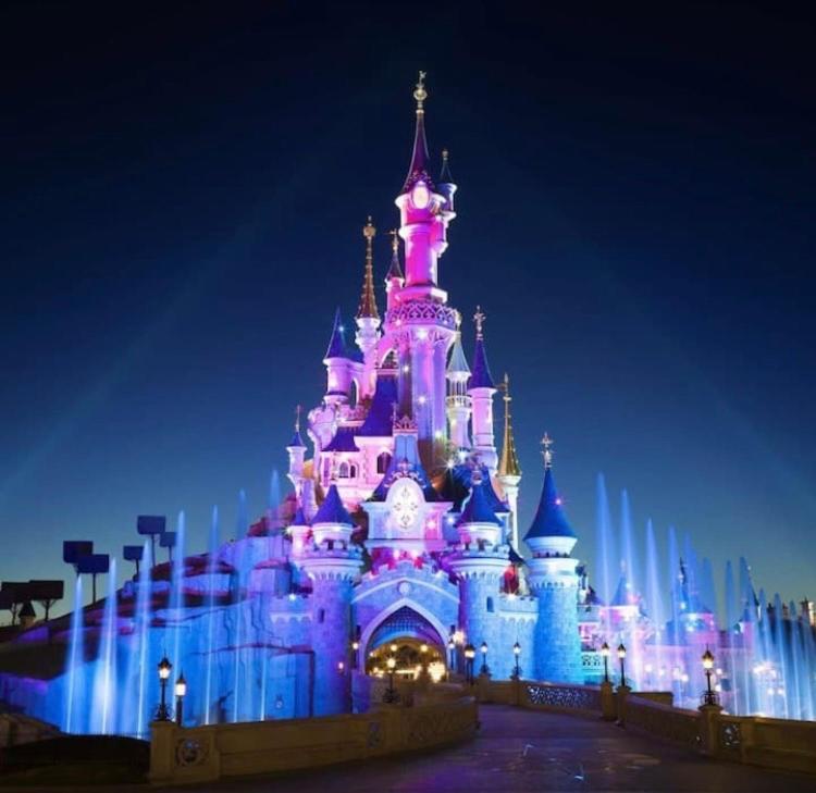 Maison Individuelle Tout Confort Terrasse Exterieur Proche Parc Asterix, Aeroport Roissy Cdg, Paris, Disney, Chateau De Chantilly La Chapelle-en-Serval Dış mekan fotoğraf